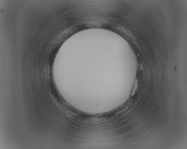 X0000078290498200612011812