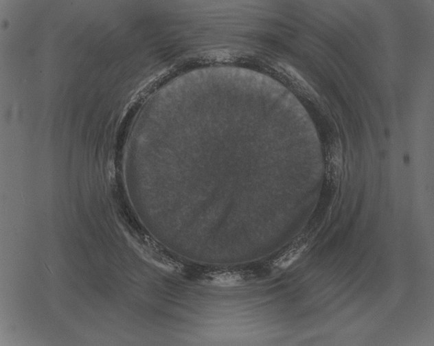 X0000078290500200612011812