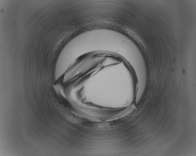 X0000078290501200612011812