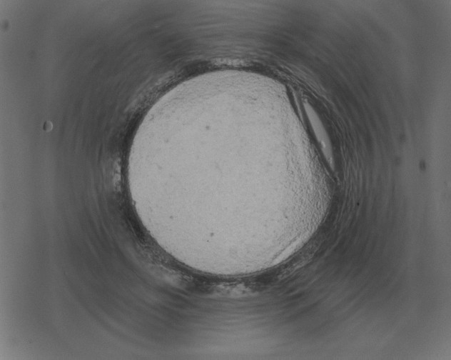 X0000078290502200612011812