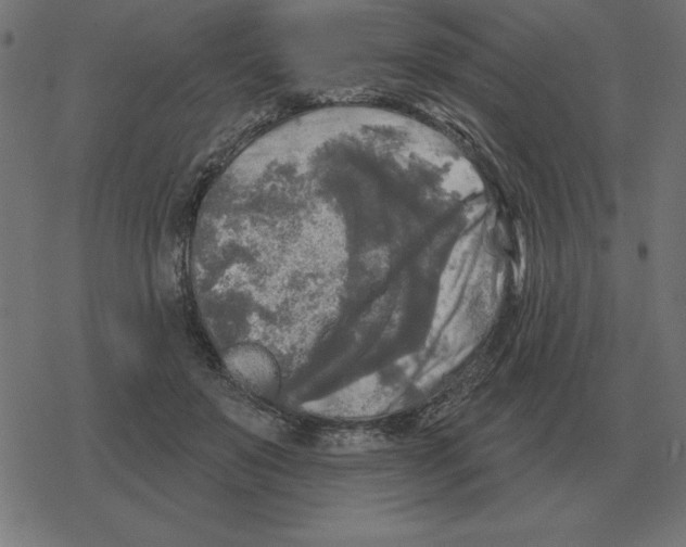 X0000078290503200612011812