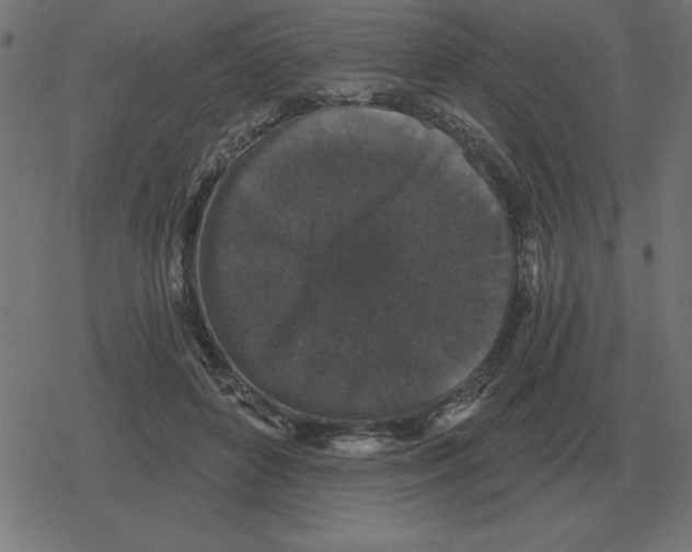 X0000078290504200612011812