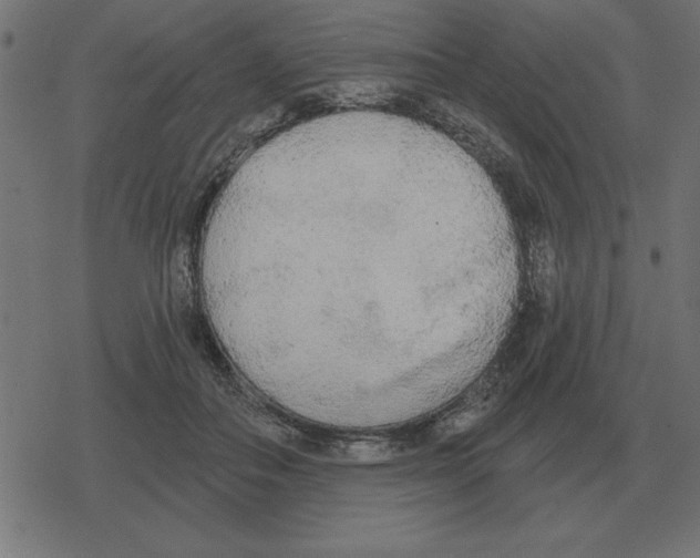 X0000078290506200612011812