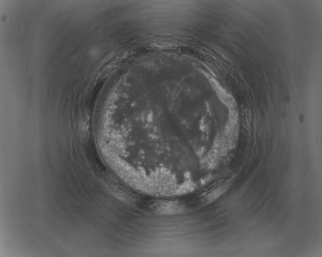 X0000078290507200612011812