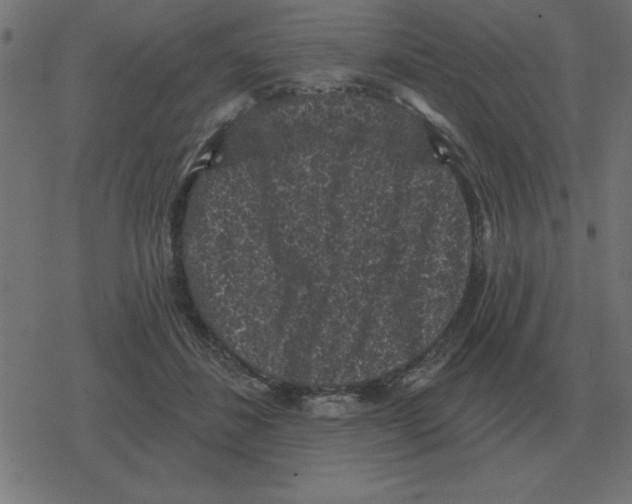 X0000078290508200612011812