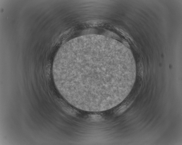 X0000078290509200612011812