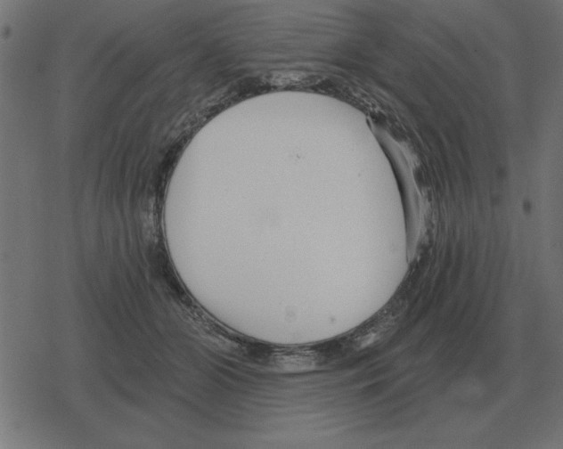 X0000078290510200612011812