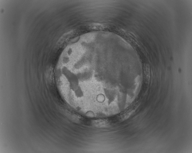 X0000078290511200612011812