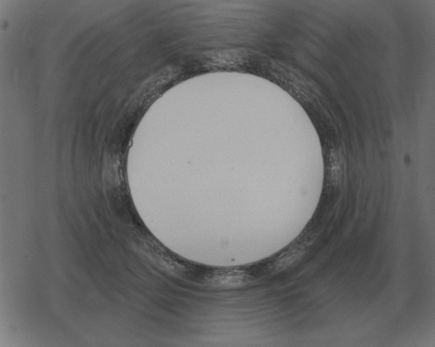 X0000078290514200612011812