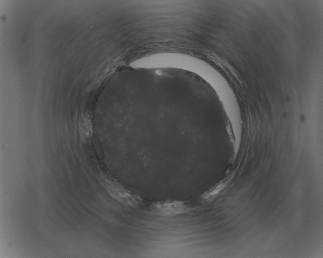 X0000078290517200612011812