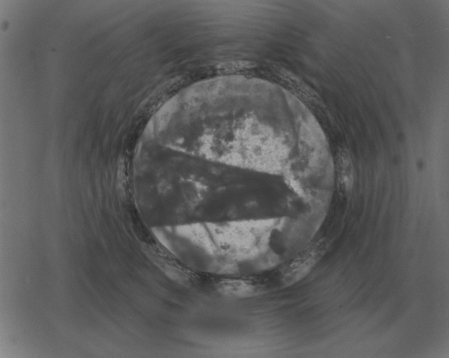 X0000078290519200612011812