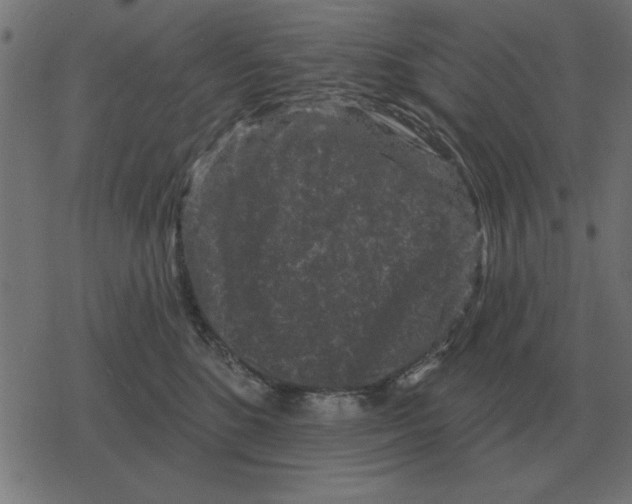 X0000078290520200612011812