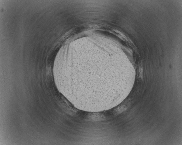 X0000078290521200612011812