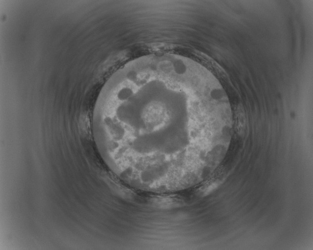 X0000078290523200612011812