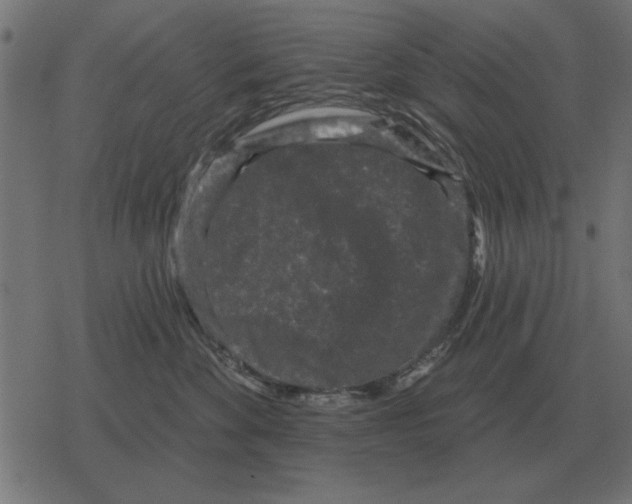 X0000078290524200612011812