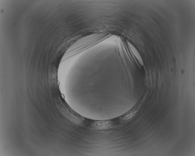 X0000078290526200612011812