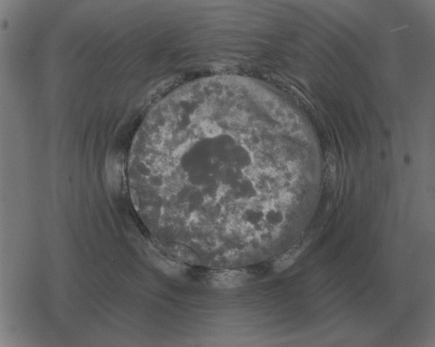 X0000078290527200612011812