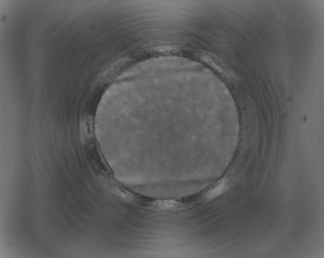 X0000078290528200612011812