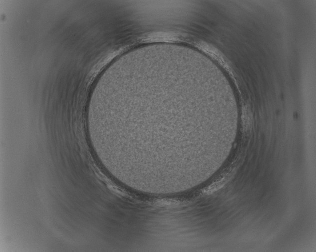 X0000078290529200612011811