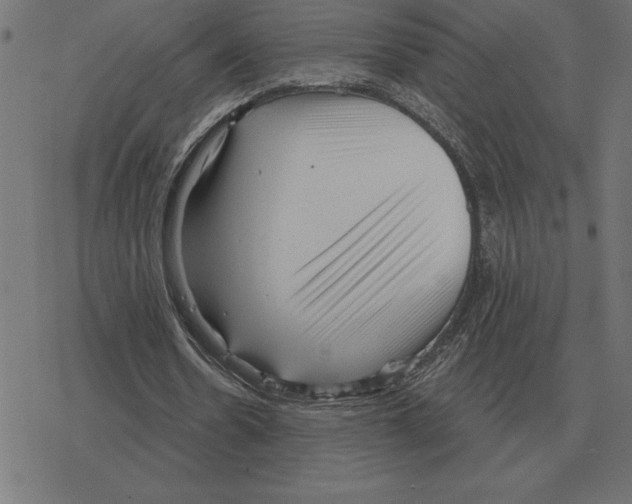 X0000078290530200612011811