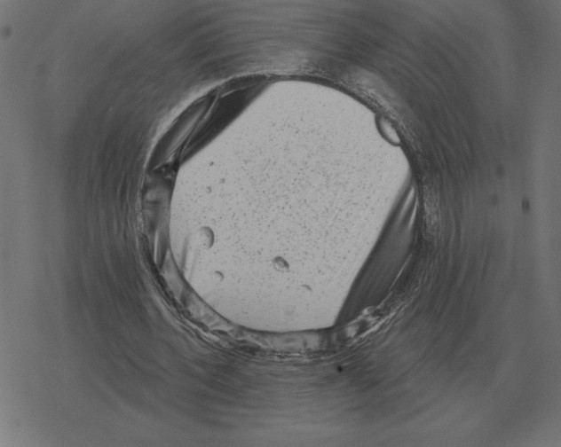 X0000078290532200612011811