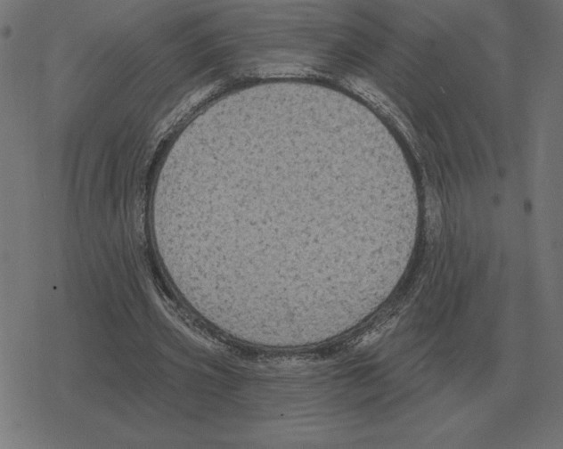 X0000078290533200612011811