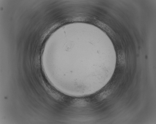 X0000078290534200612011811