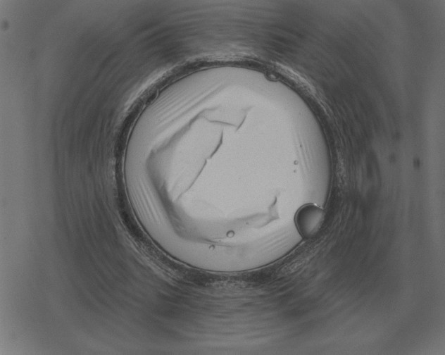 X0000078290535200612011811