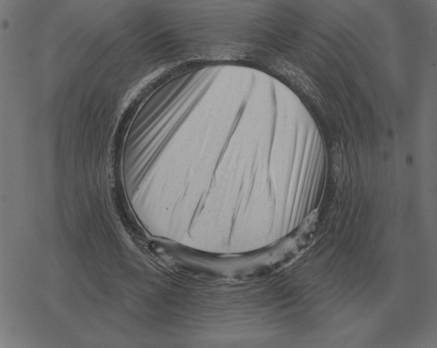 X0000078290536200612011811