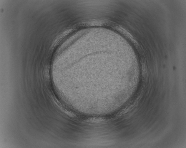 X0000078290537200612011811