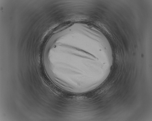 X0000078290539200612011811