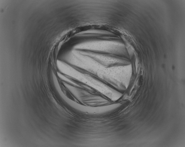 X0000078290540200612011811