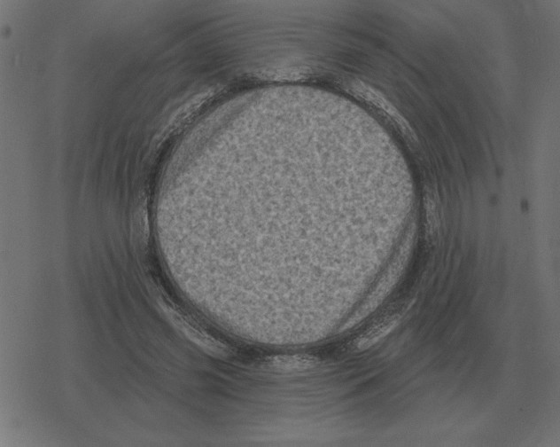 X0000078290541200612011811