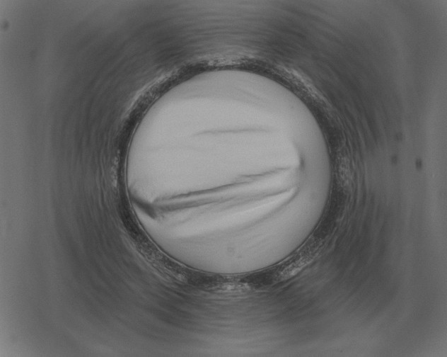 X0000078290543200612011811