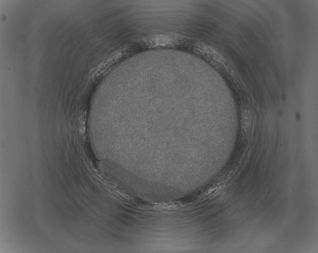 X0000078290545200612011811