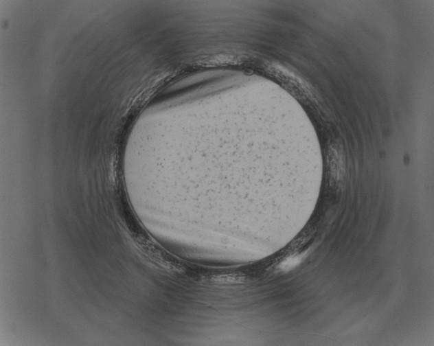 X0000078290546200612011811