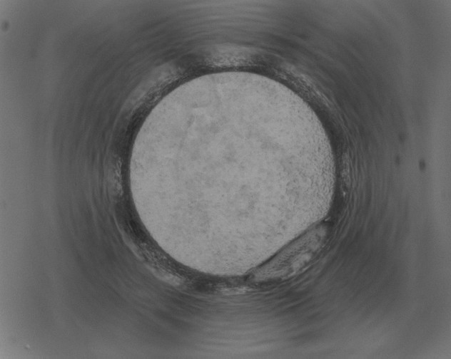 X0000078290547200612011811