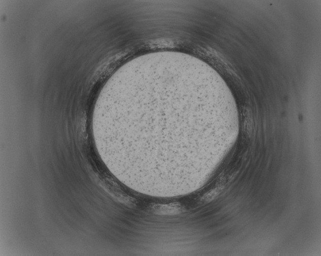 X0000078290548200612011811