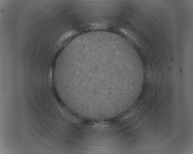 X0000078290550200612011812