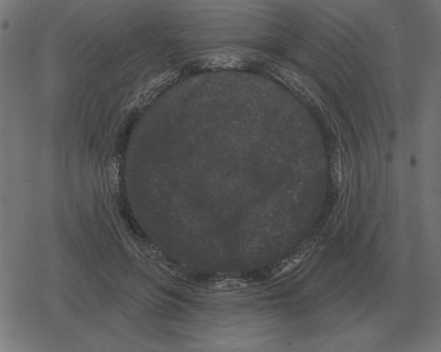 X0000078290551200612011812