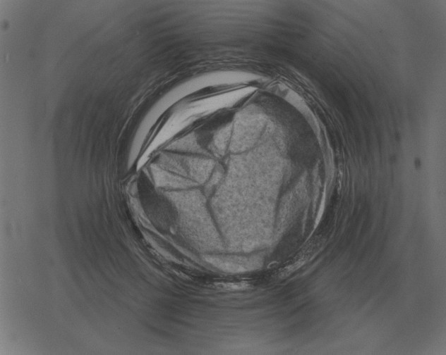 X0000078290552200612011812