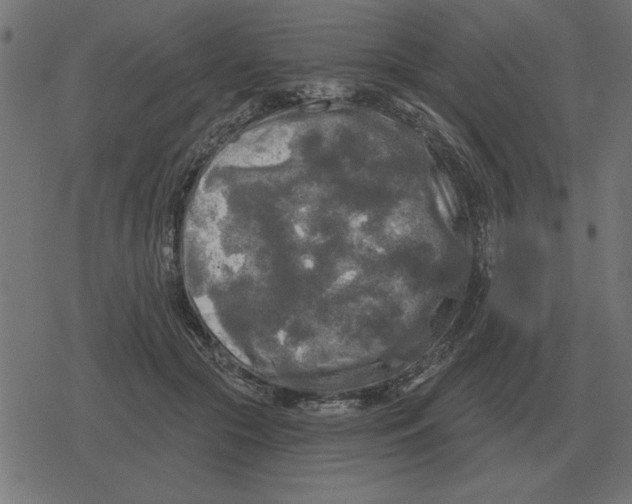 X0000078290553200612011812