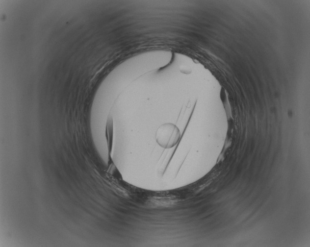 X0000078290556200612011812