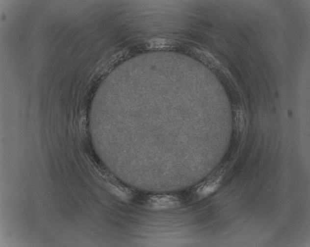 X0000078290557200612011812