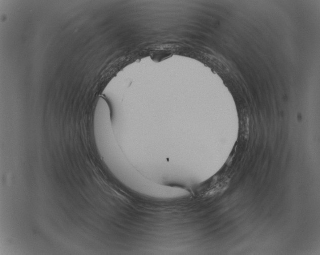 X0000078290558200612011812