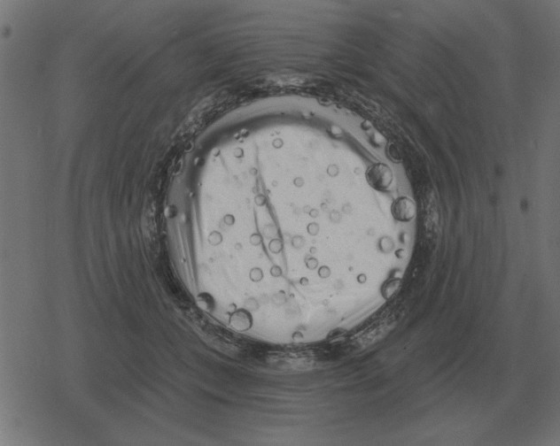 X0000078290559200612011812