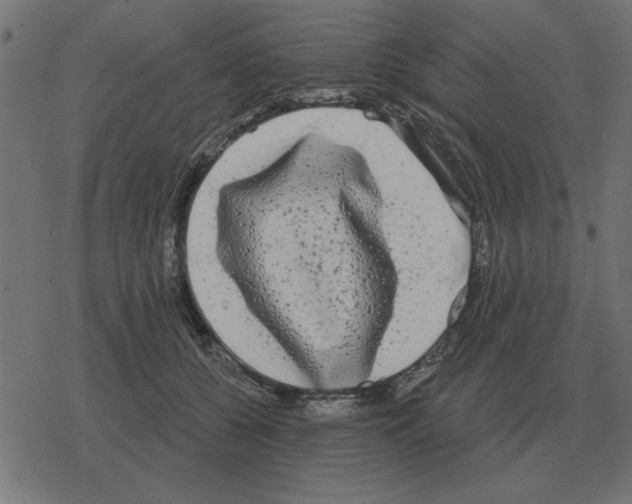 X0000078290560200612011812