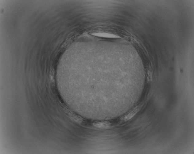 X0000078290561200612011812