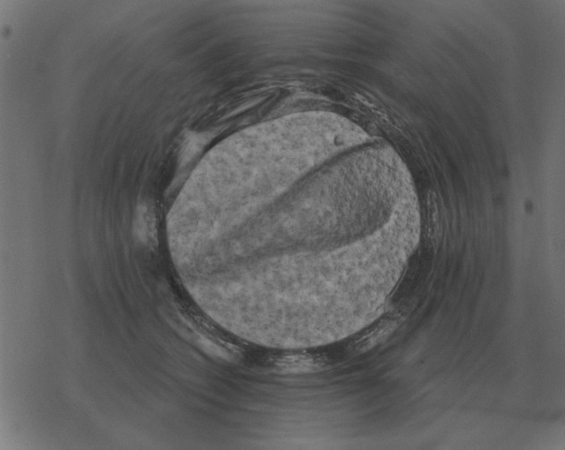 X0000078290562200612011812