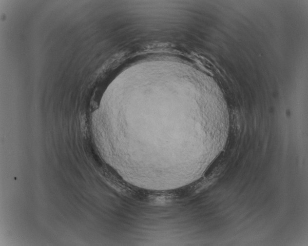 X0000078290564200612011812